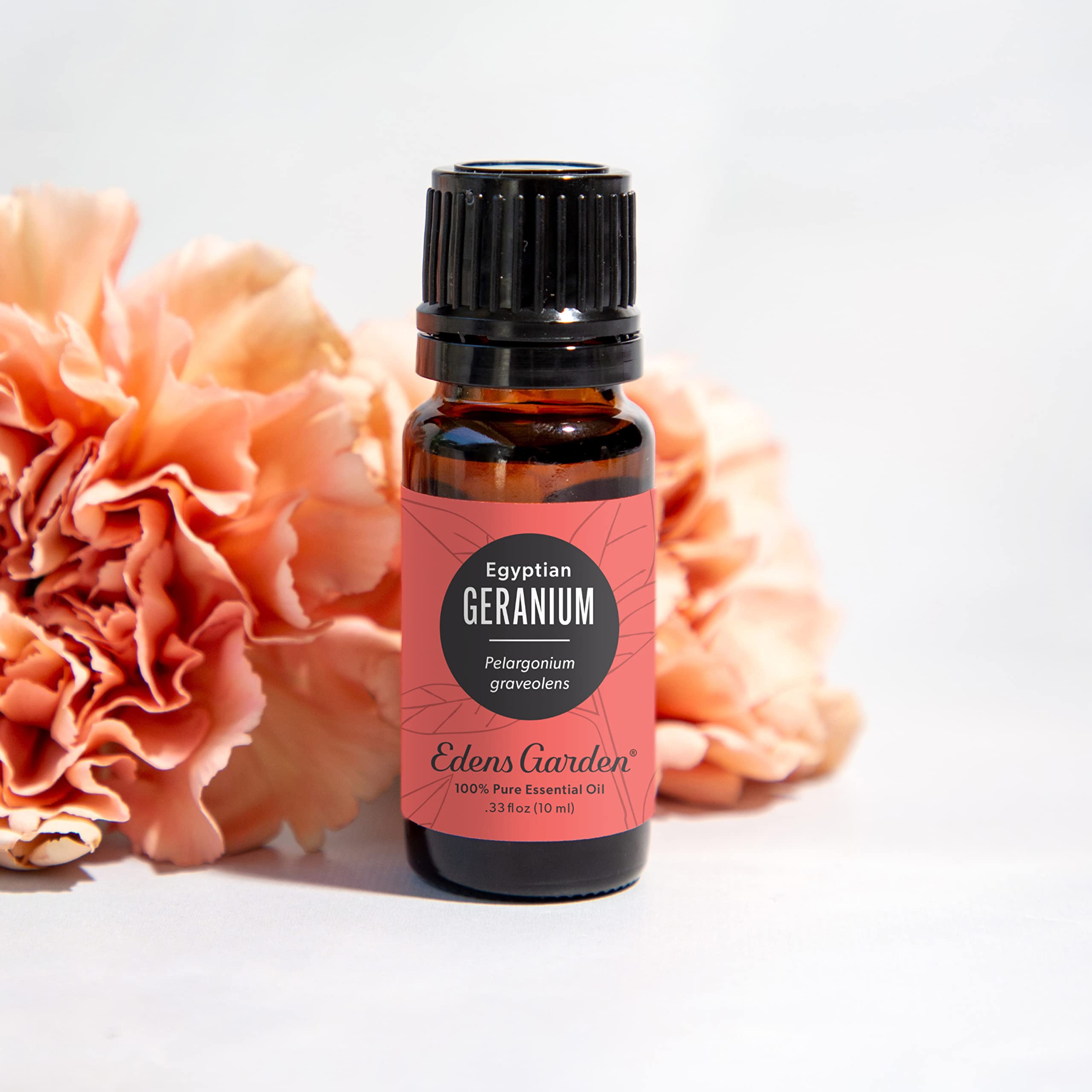 Edens Garden Geranium Egyptian diffuser showcases a calming, fragrance-rich atmosphere.