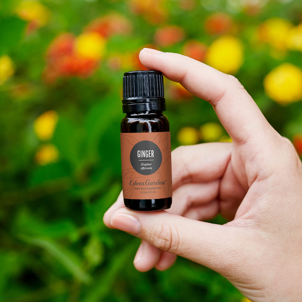 Edens Garden ginger essential oil in a diffuser setup for pleasant aroma.