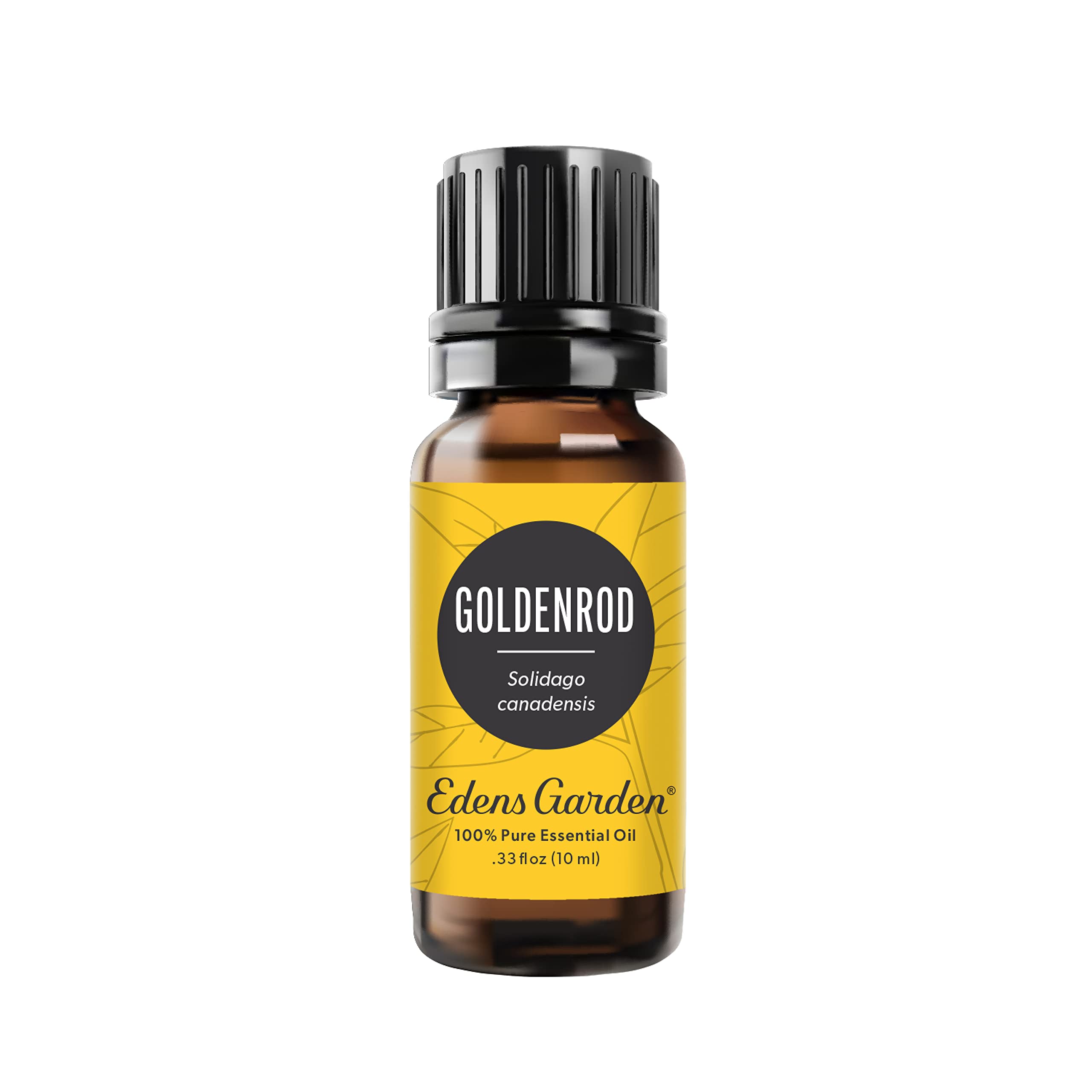 Edens Garden Goldenrod oil bottle; pure essential oil for diffusers and skin care.