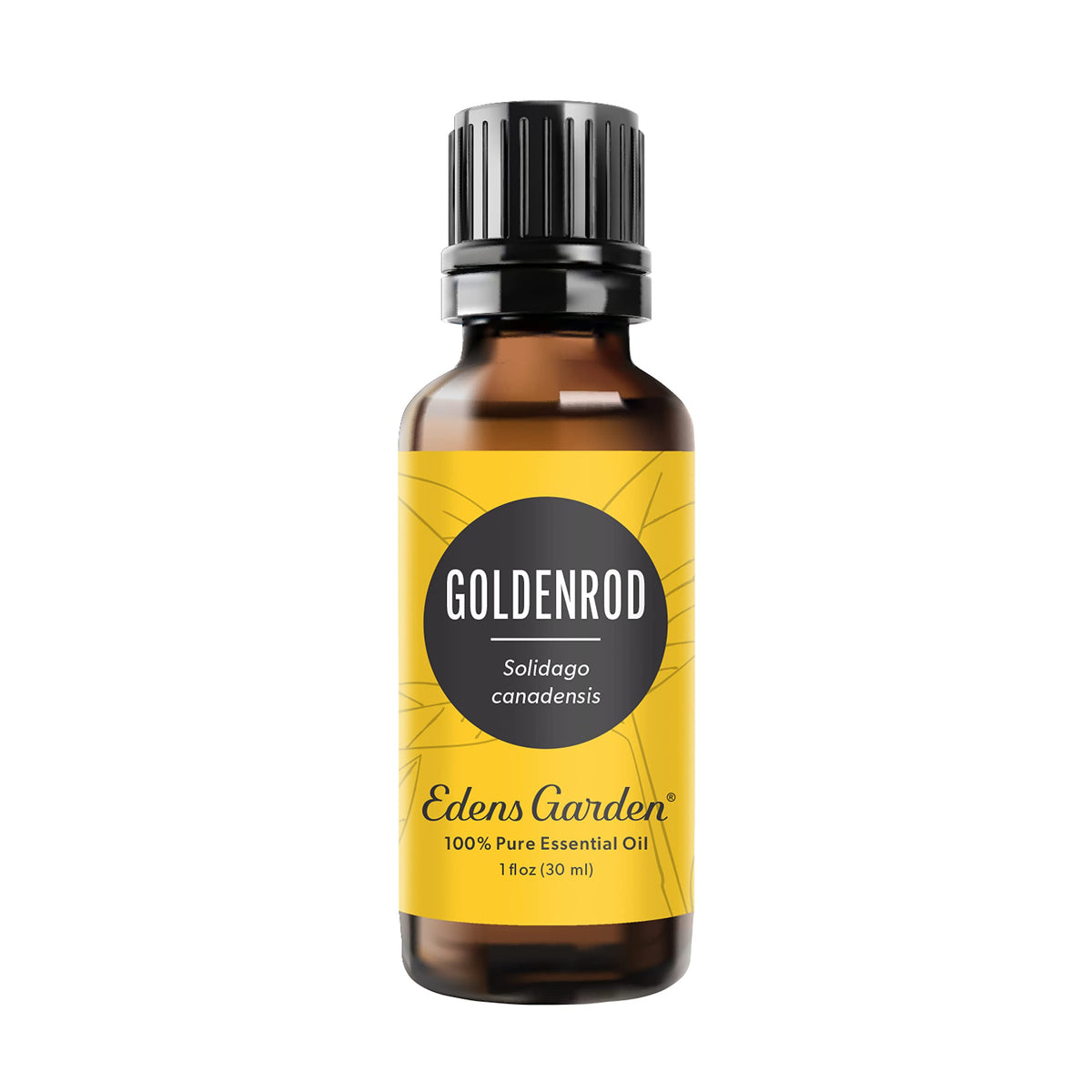 Edens Garden Goldenrod essential oil bottle for uplifting diffused aroma.
