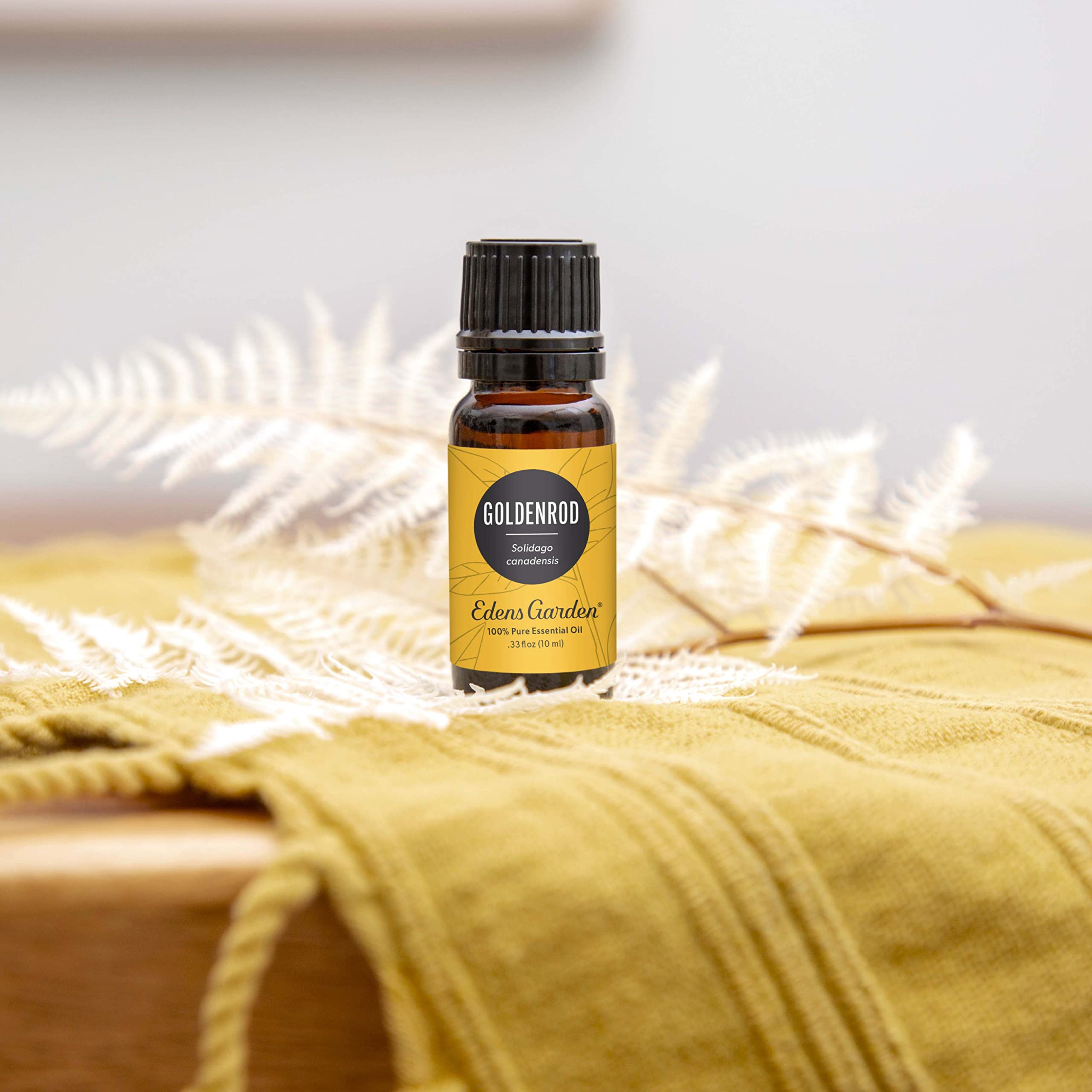 Closeup of Edens Garden Goldenrod oil cap highlighting premium undiluted formula for skin use.