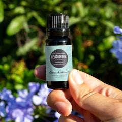 Edens Garden Helichrysum Gymnocephalum diffuser releasing a refreshing aroma.