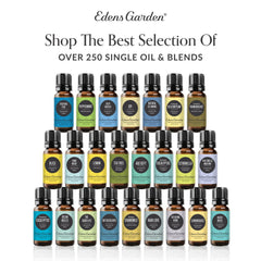 Edens Garden lavender blend close-up for calming aromatherapy benefits.