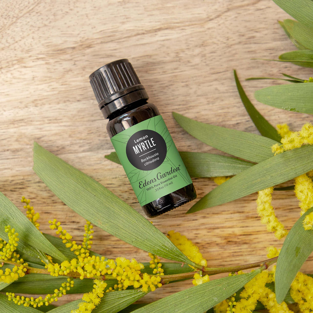 Edens Garden Myrtle-Lemon diffuser image highlighting uplifting aroma in living space