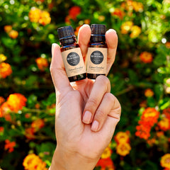 Edens Garden Nausea & Motion Sickness blend in a diffuser filling the room with aroma.