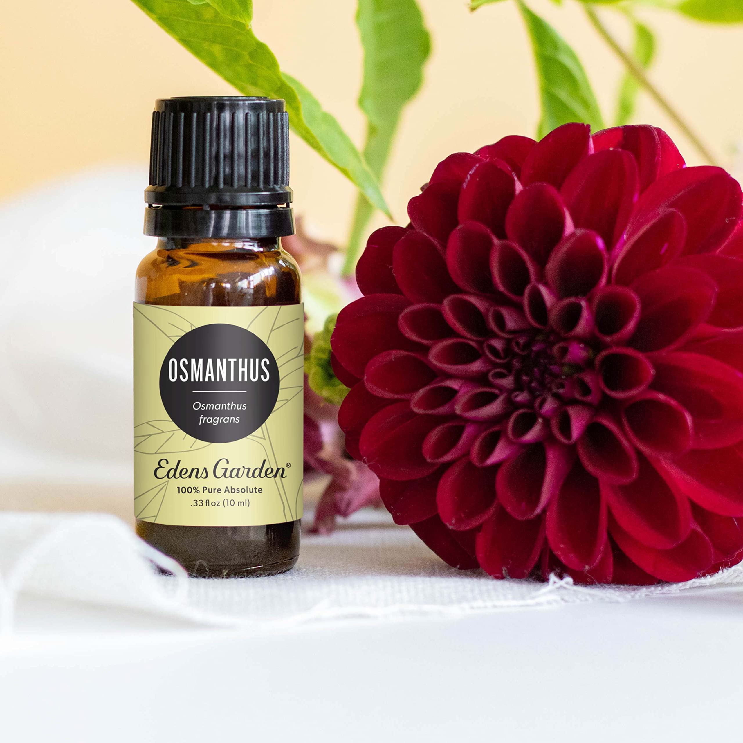 Osmanthus essential oil used in diffuser creating calming aroma