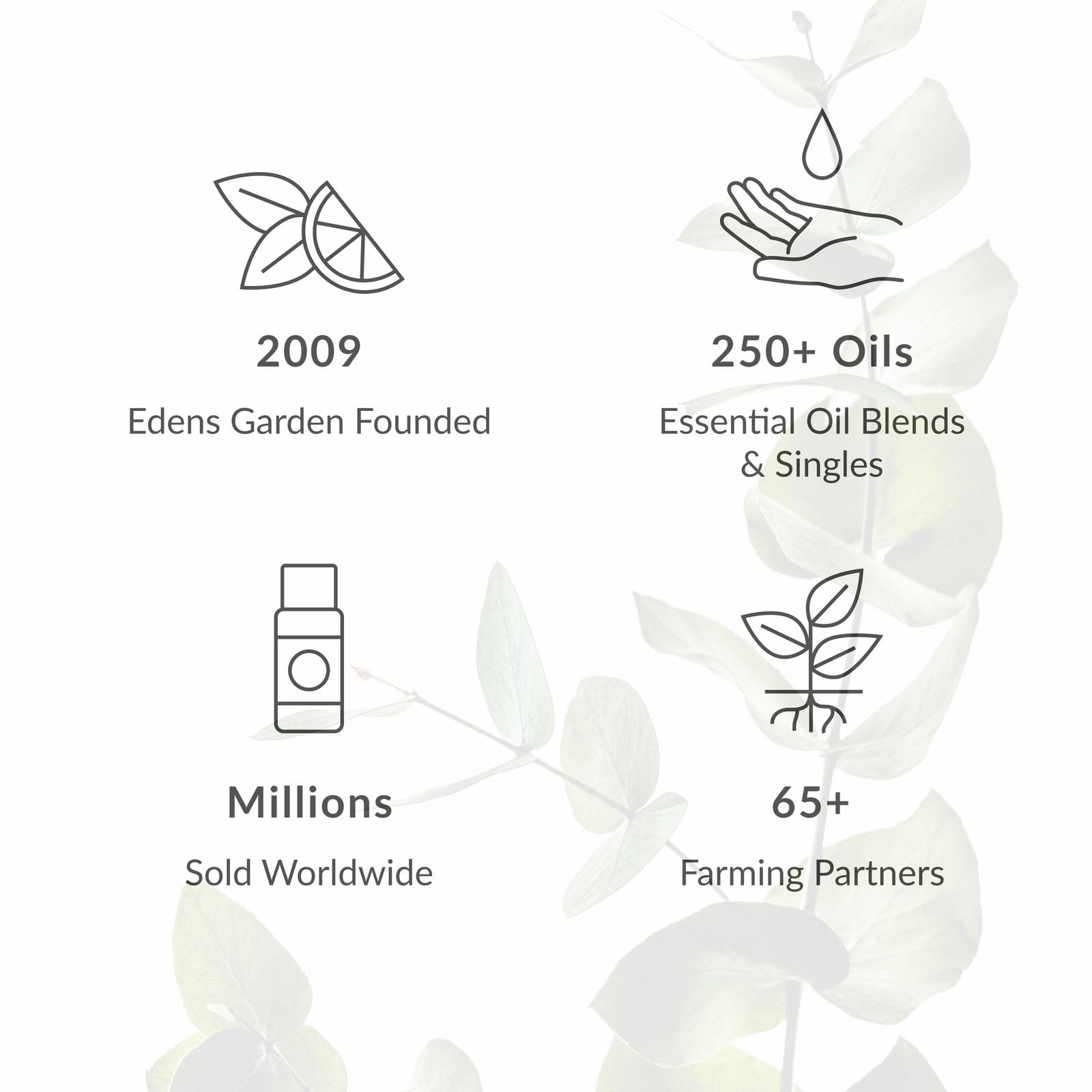 Edens Garden 10 ml packaging, travel-size essential oil.