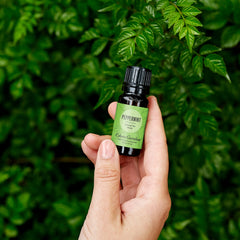 Edens Garden Peppermint Around The World bottle-pour releasing a crisp minty scent.