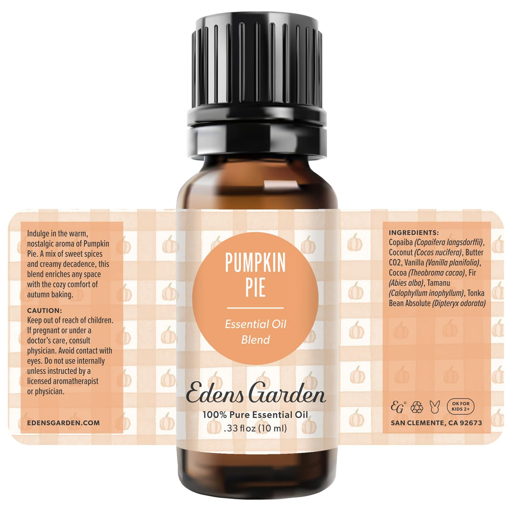 Edens Garden Pumpkin Pie Living Room Ambience creates cozy evenings.