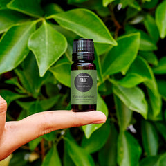 Edens Garden Sage-Dalmatian diffuser mist creating a calm, earthy atmosphere.