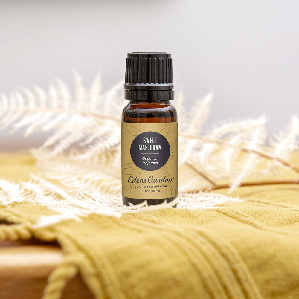 Edens Garden Sweet Marjoram creates a calming, herbaceous atmosphere in a cozy living room.