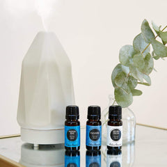 Edens Garden Tan Diamond diffuser in a living room setup for wide-space fragrance