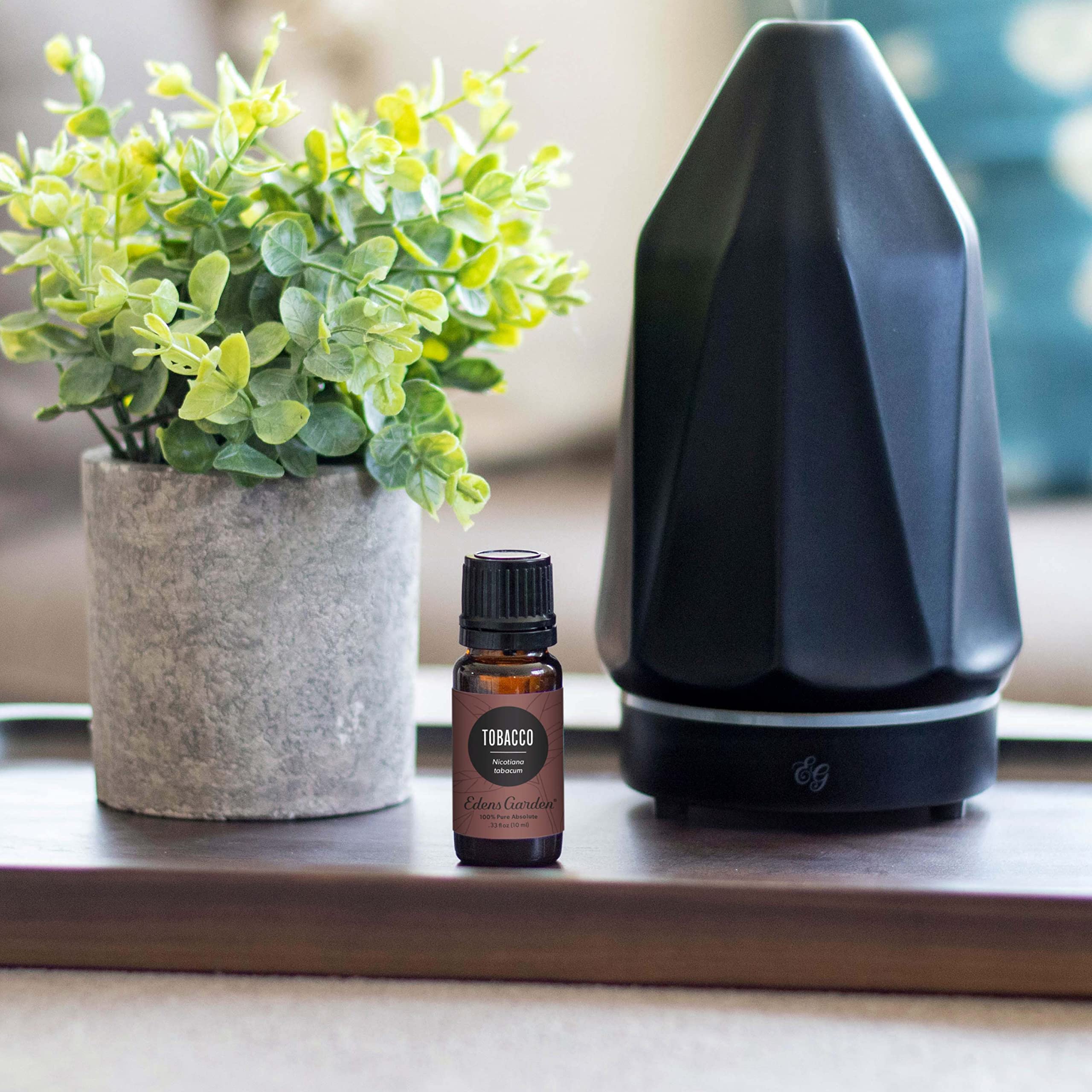 Edens Garden Tobacco Absolute dropper enables precise dosing.