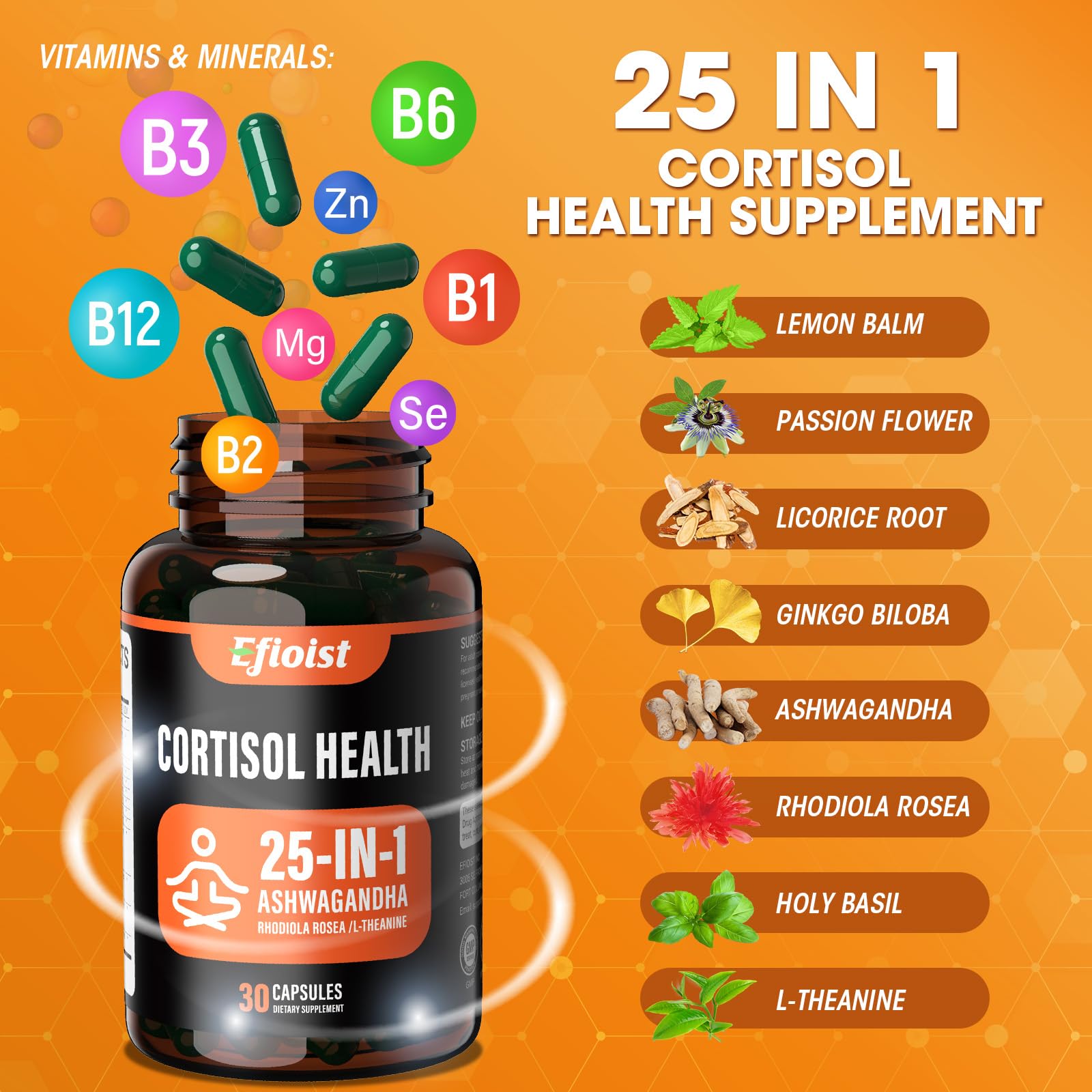 Efioist Ashwagandha 20:1 extract image emphasizing potent stress-adaptation support.