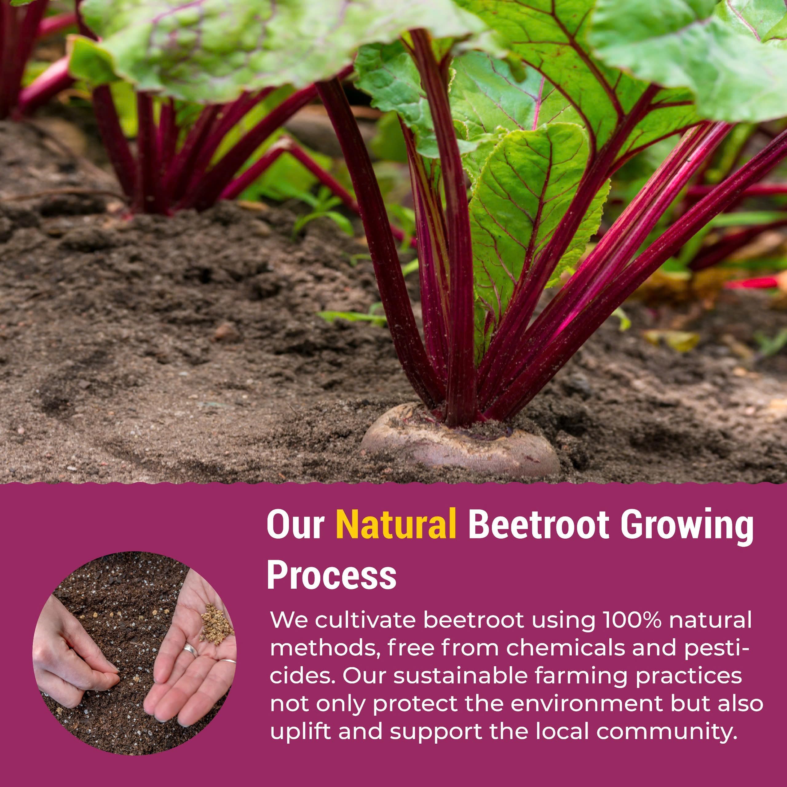beet root powder packets designed for daily on-the-go use