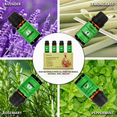 Elaunva Grass Set lemongrass oil bottle brightens spaces with citrus zest.