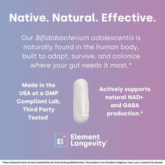 Element Longevity synbiotic ingredients graphic emphasizes prebiotics for microbiome support.