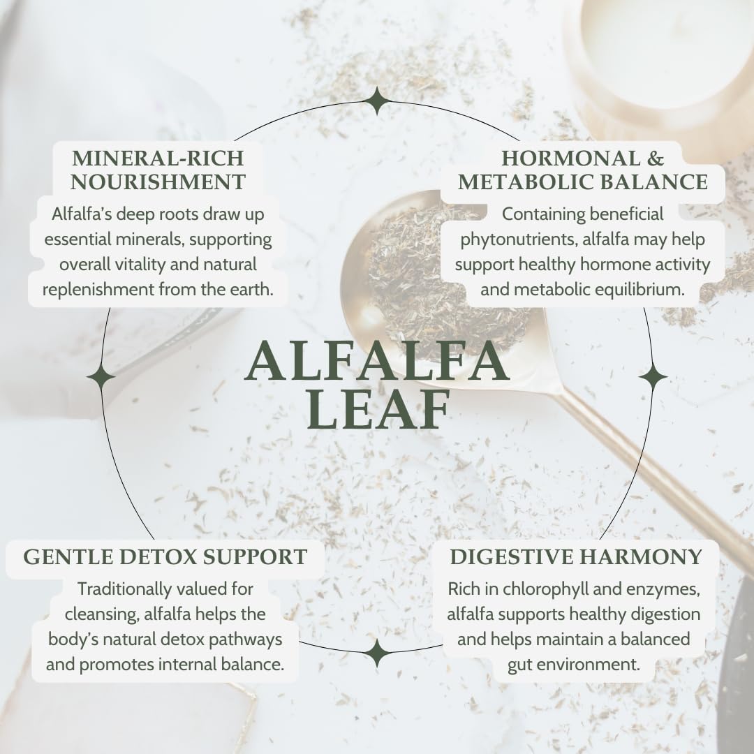 Cup of Elanen Naturals alfalfa tea releasing a fresh herbal aroma.