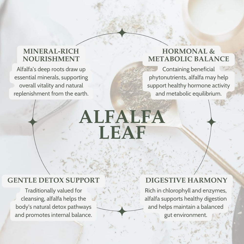 Cup of Elanen Naturals alfalfa tea releasing a fresh herbal aroma.