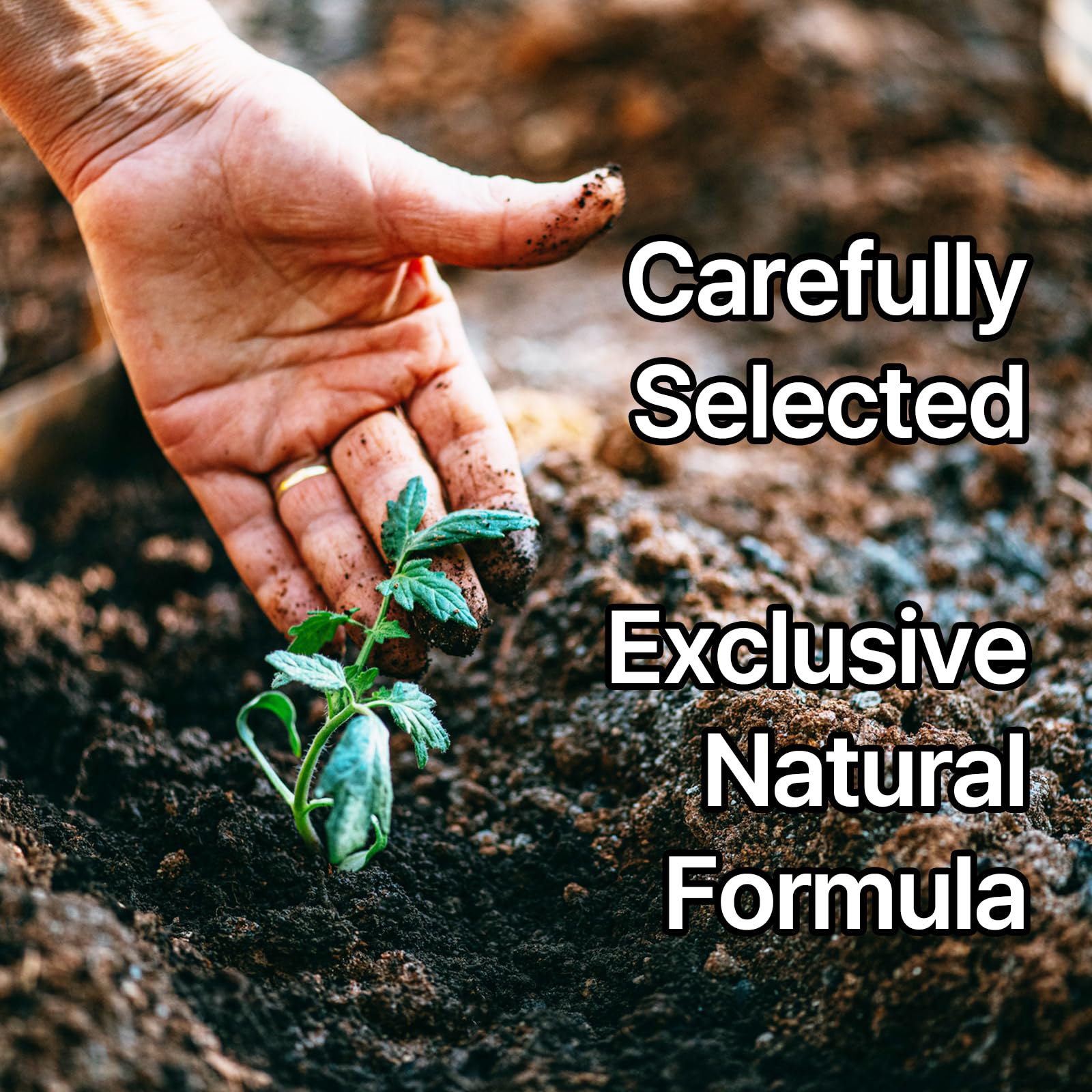 Capsules arranged to showcase easy daily dosage for wellness.