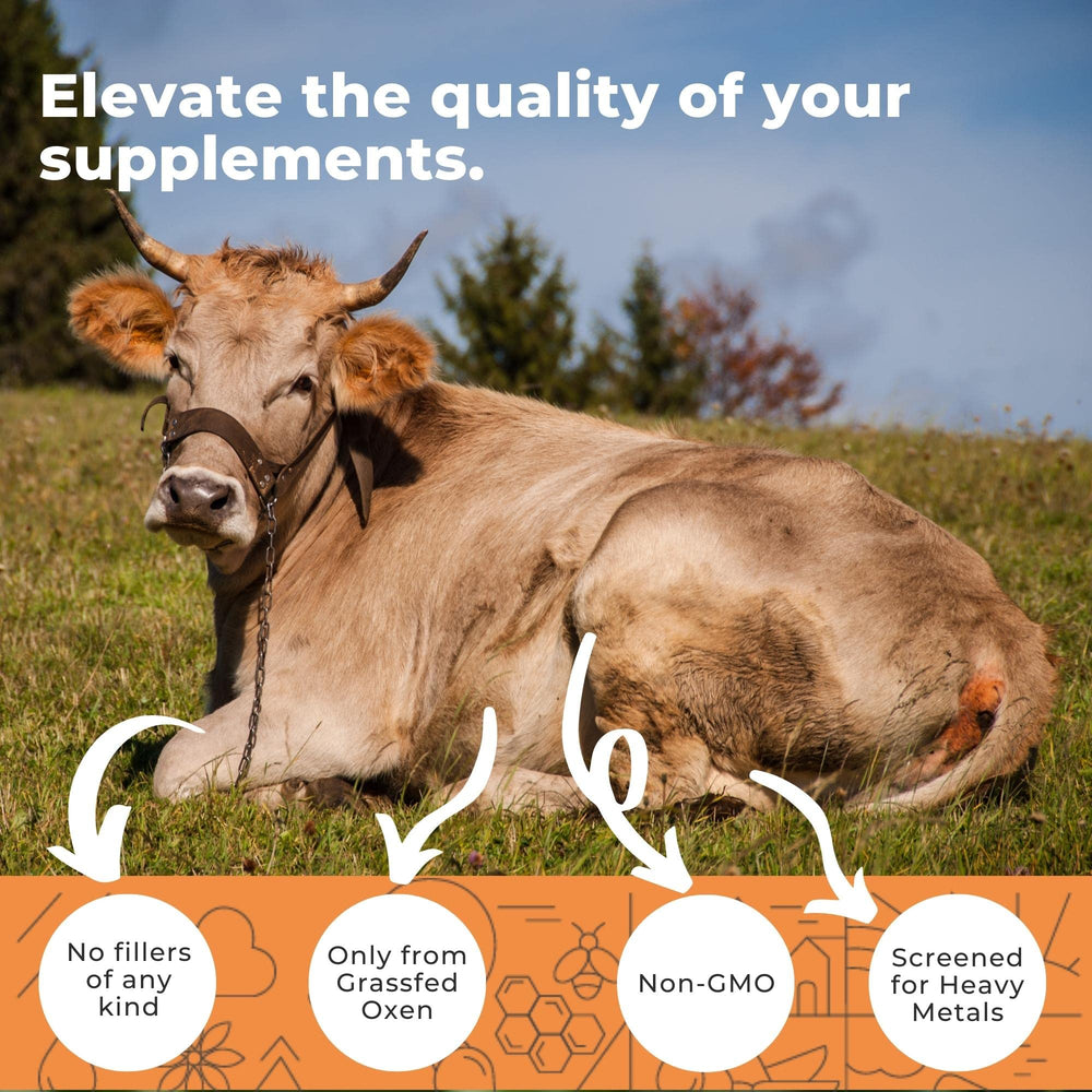 Ox bile extract label highlighting grass-fed origin and clean ingredients.
