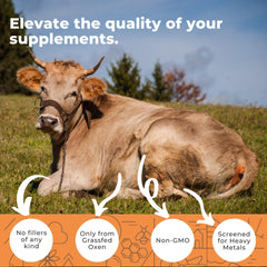 Ox bile extract label highlighting grass-fed origin and clean ingredients.