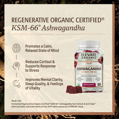ELEVATE ORGANIC mixed berry gummies close up showing texture