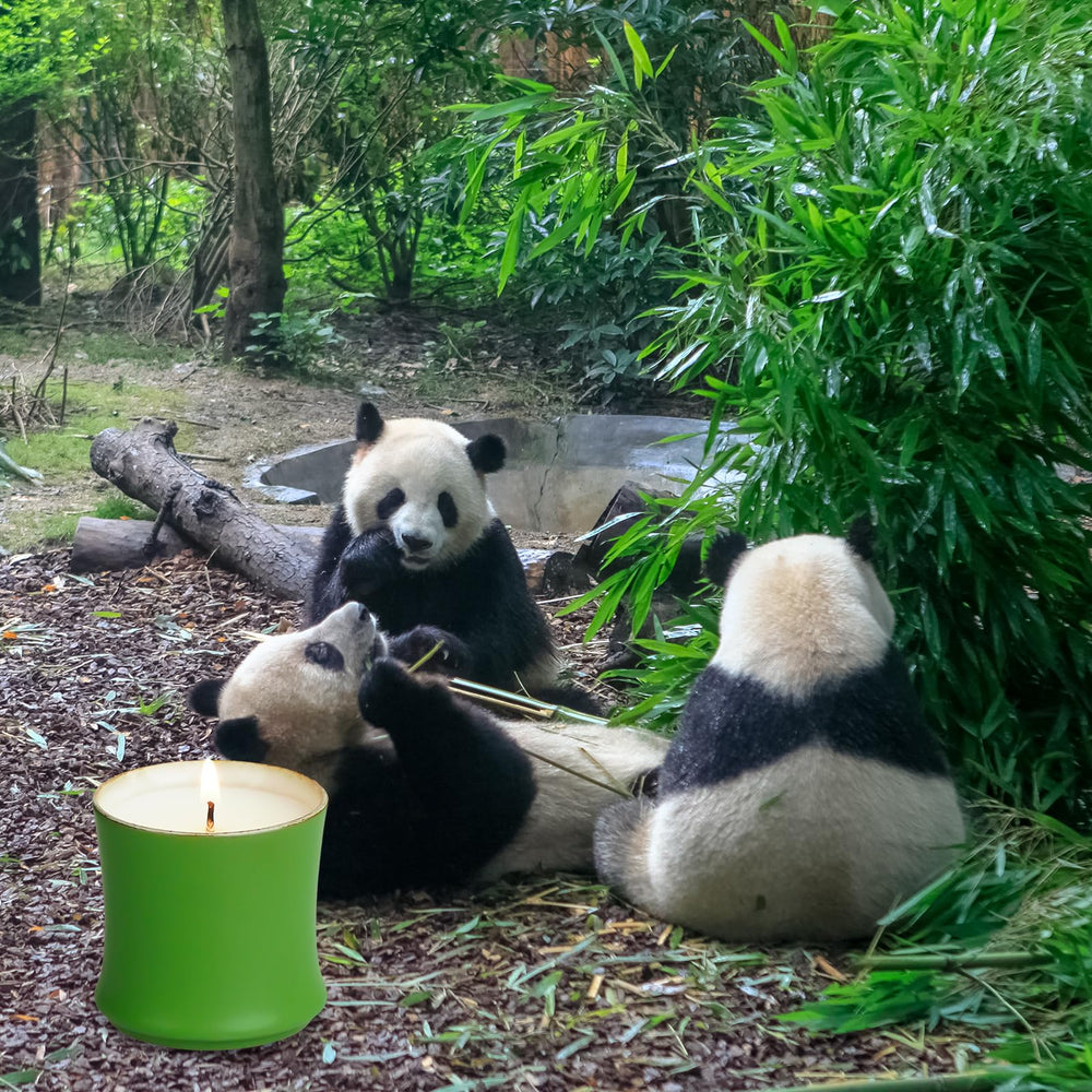 Elichingse candle offers about 16 hours of burn