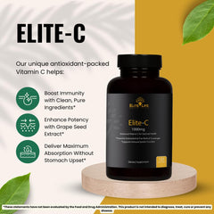 Elite-C ingredients graphic features grape seed, rose hips, rutin, and acerola.