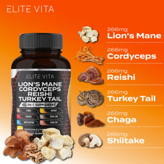 Elite Vita mushroom blend ingredients display for cognitive support.