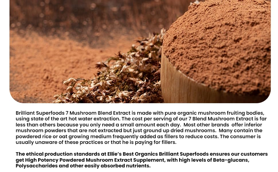 Ellie's Best double extracted mushroom powder close-up for concentrated potency.