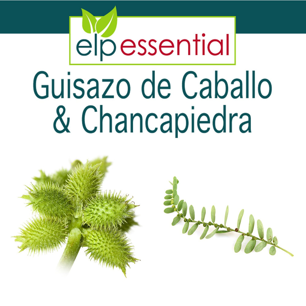 ELP Essential Guizazo Caballo label detail highlighting per-pack information.