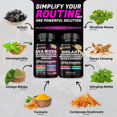 ELVPOTEC Sea Moss capsules close-up highlighting mineral-rich blend