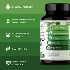 Box and bottle image emphasizes European-sourced Ginkgo Biloba extract.