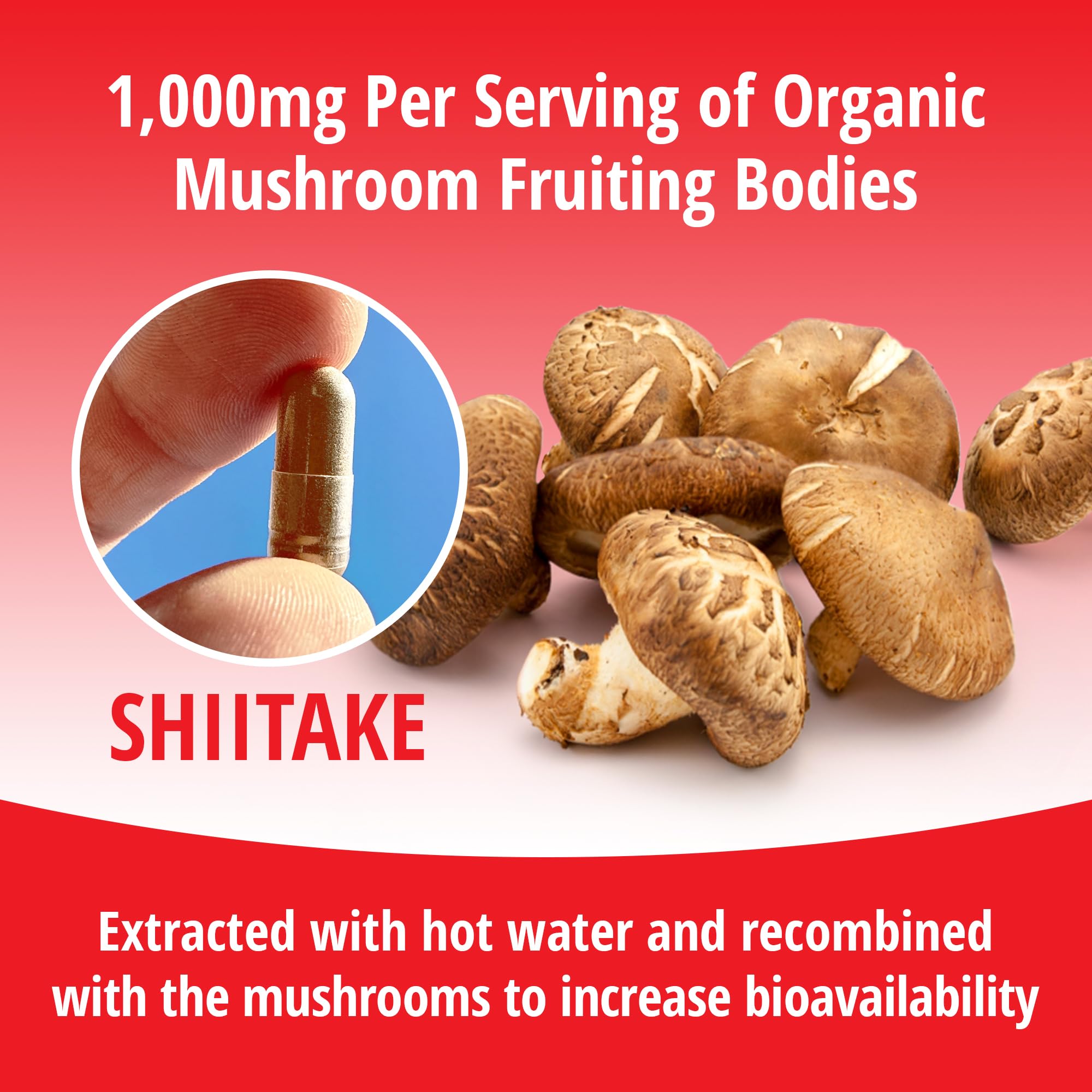 ENCAPSULATE Shiitake packaging box displayed for premium packaging