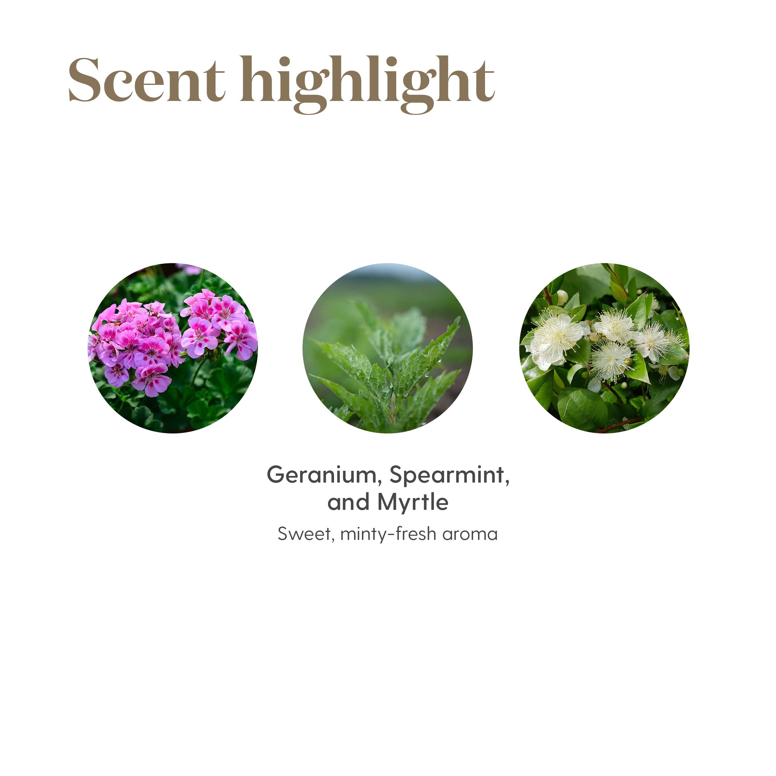 EndoFlex blends spearmint, sage, and geranium among its ingredients.