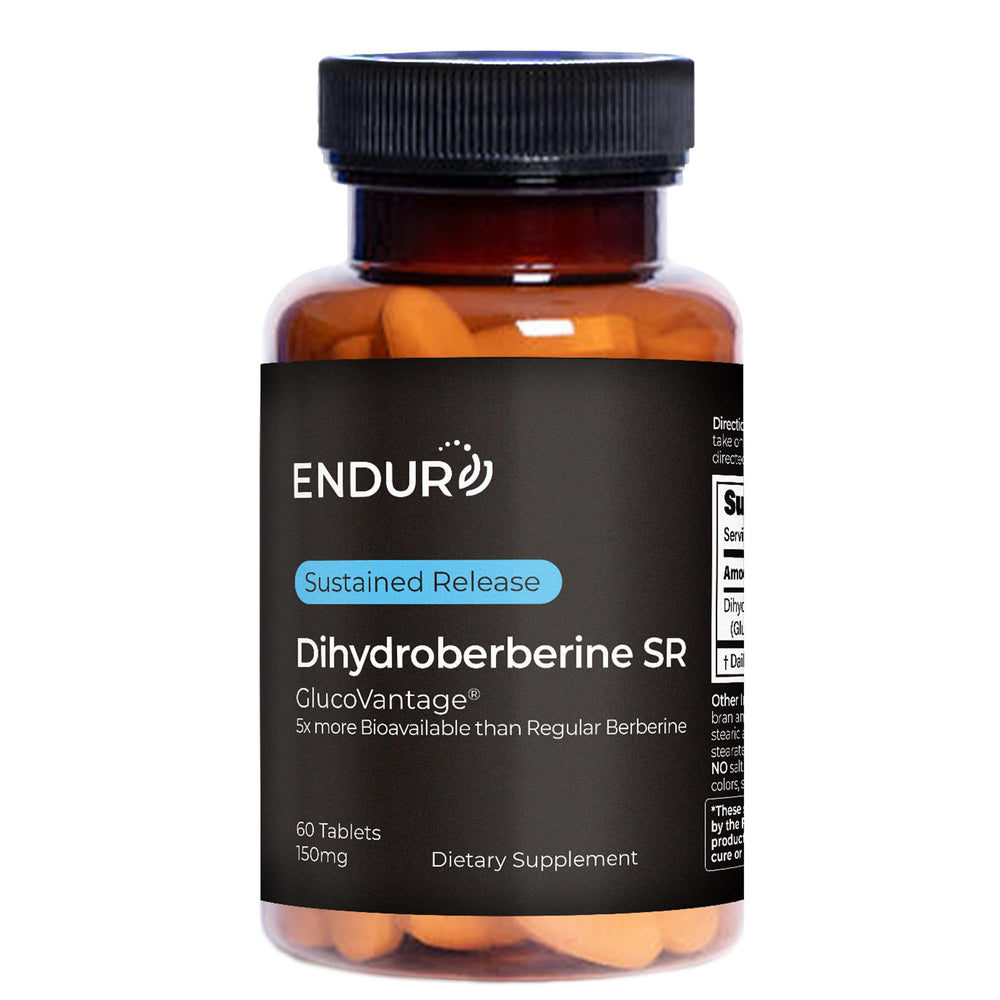 Endur Dihydroberberine SR bottle showing sustained-release tablets for steady daily use