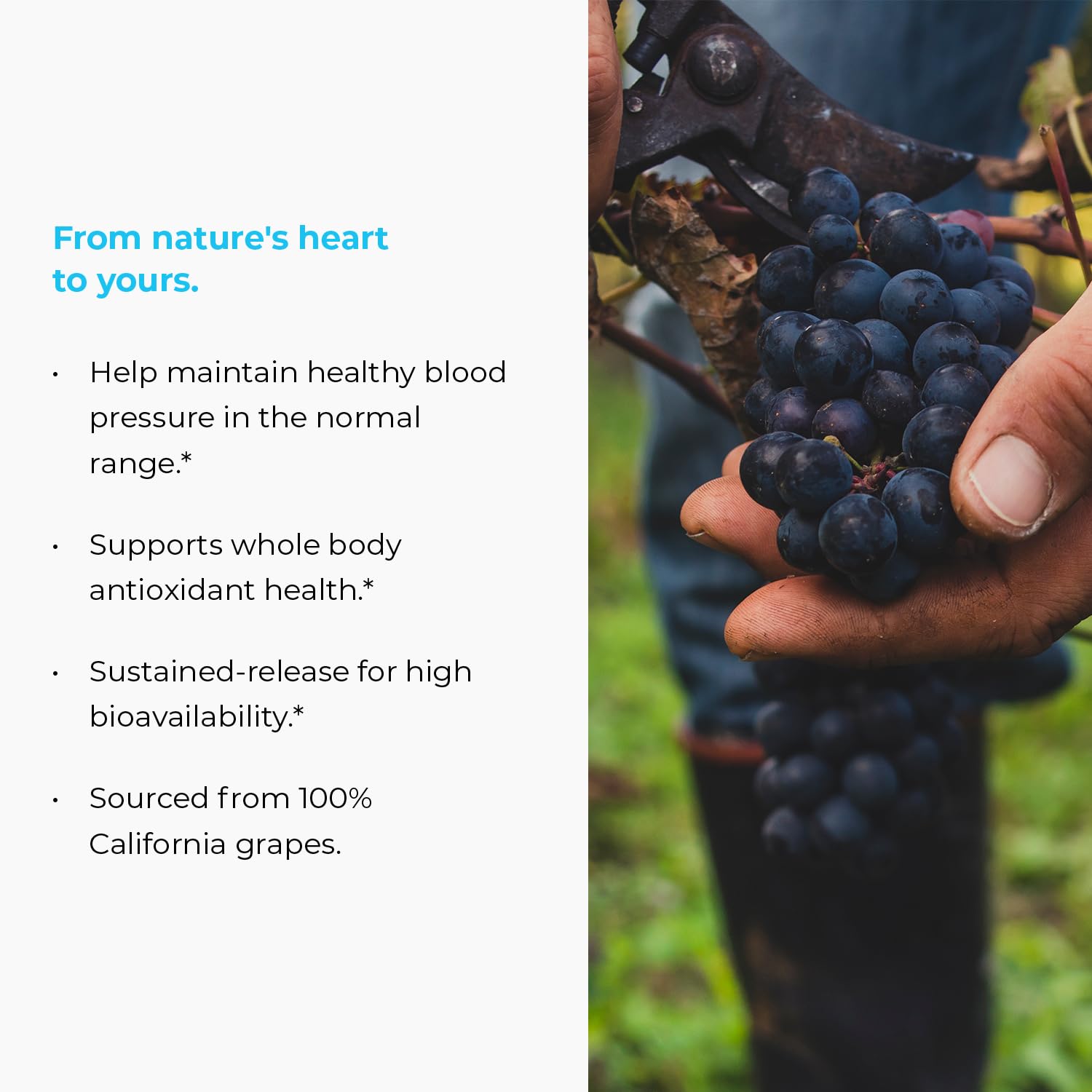 Label highlights California grape source and premium extract.