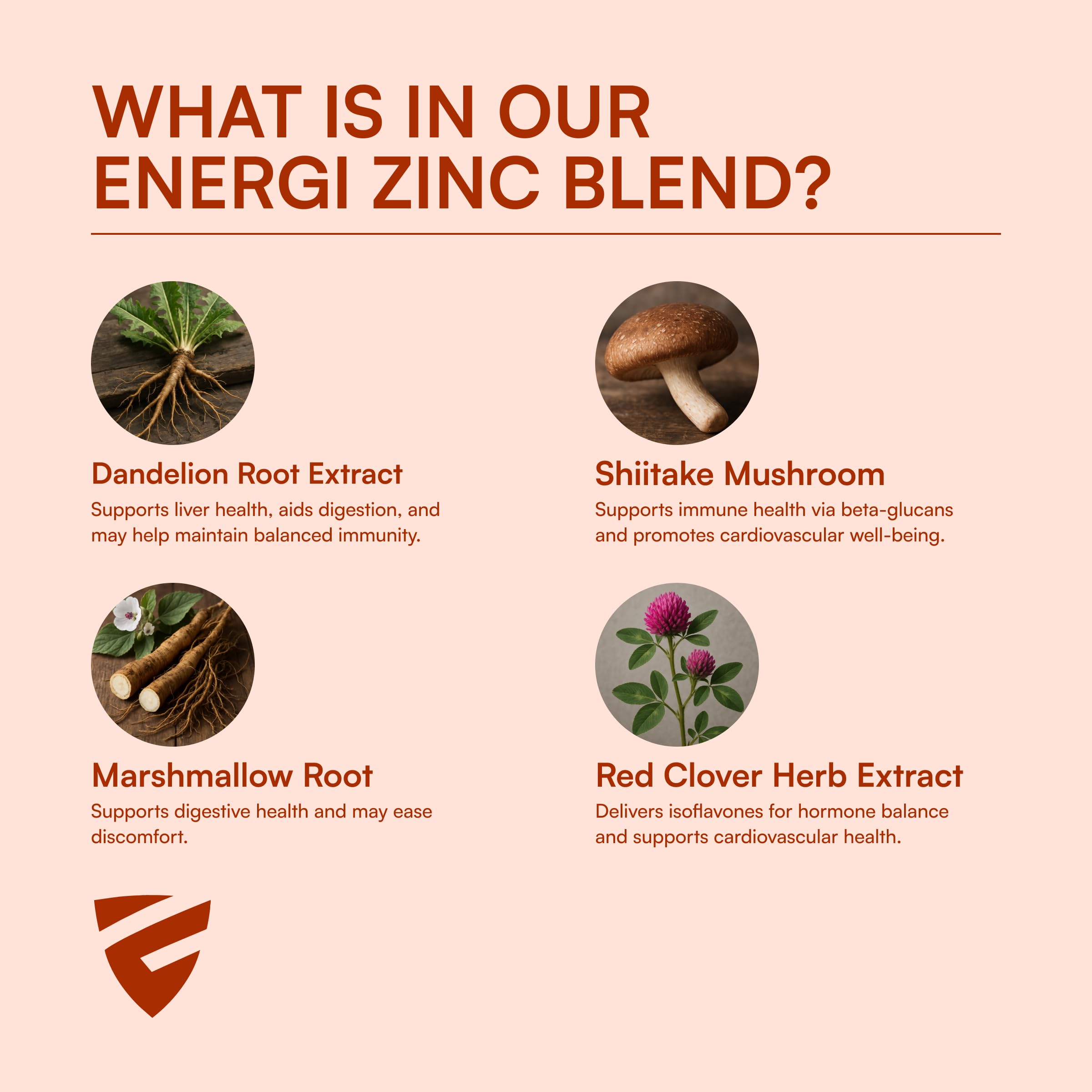 Energi Nut shiitake mushroom component in the blend.
