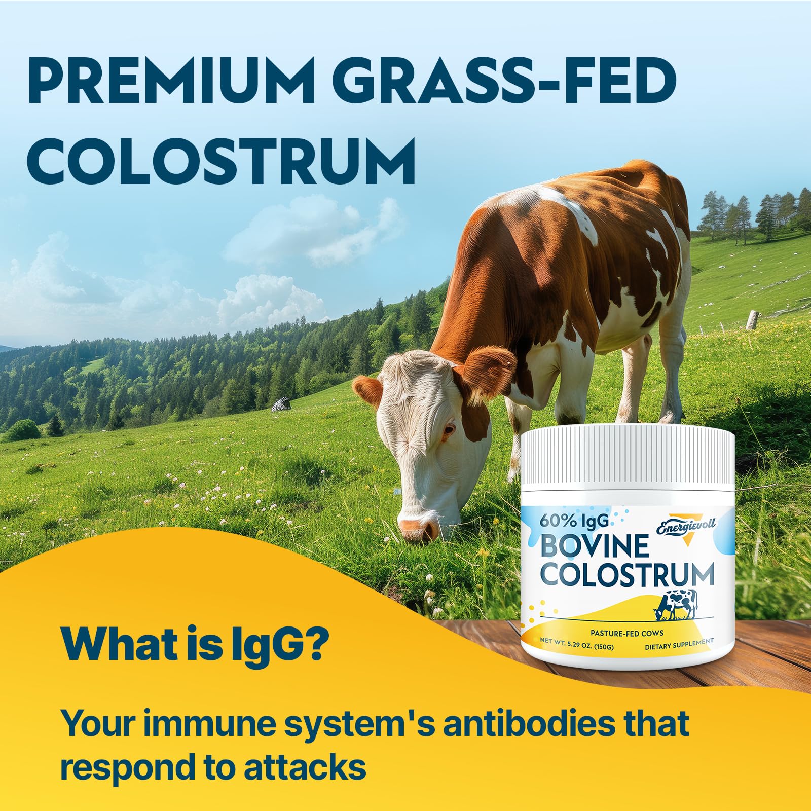 Energievoll colostrum powder blended into smoothie for convenient nutrition.
