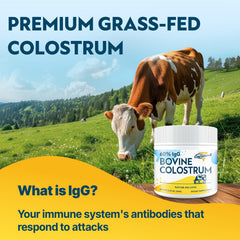 Energievoll colostrum powder blended into smoothie for convenient nutrition.