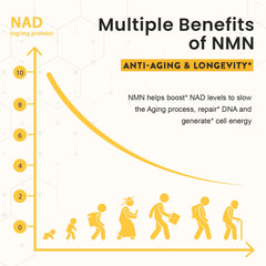 Enprotess NMN lozenges in daily-use pack highlighting energy and immune support