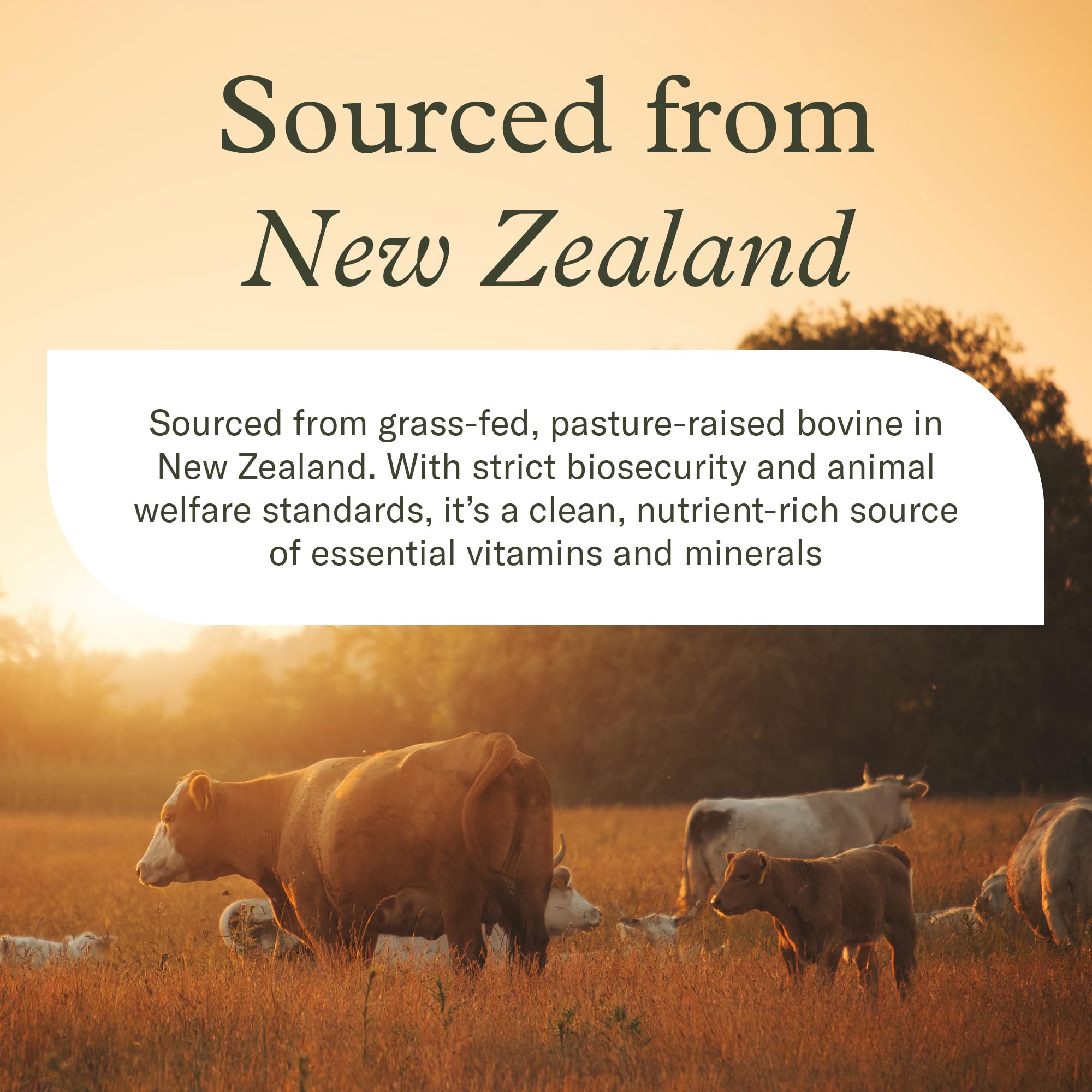 Enviromedica Grass-Fed Organ Complex packaging signals pasture raised sourcing for quality