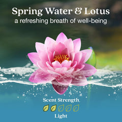 Enviroscent air freshener diffuser setup in a living space with calm, lasting aroma.