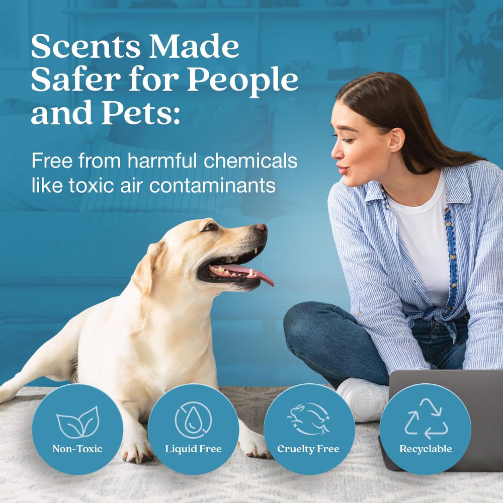 Enviroscent Scent Stix refill in Rainwater & Bamboo for lasting aroma.