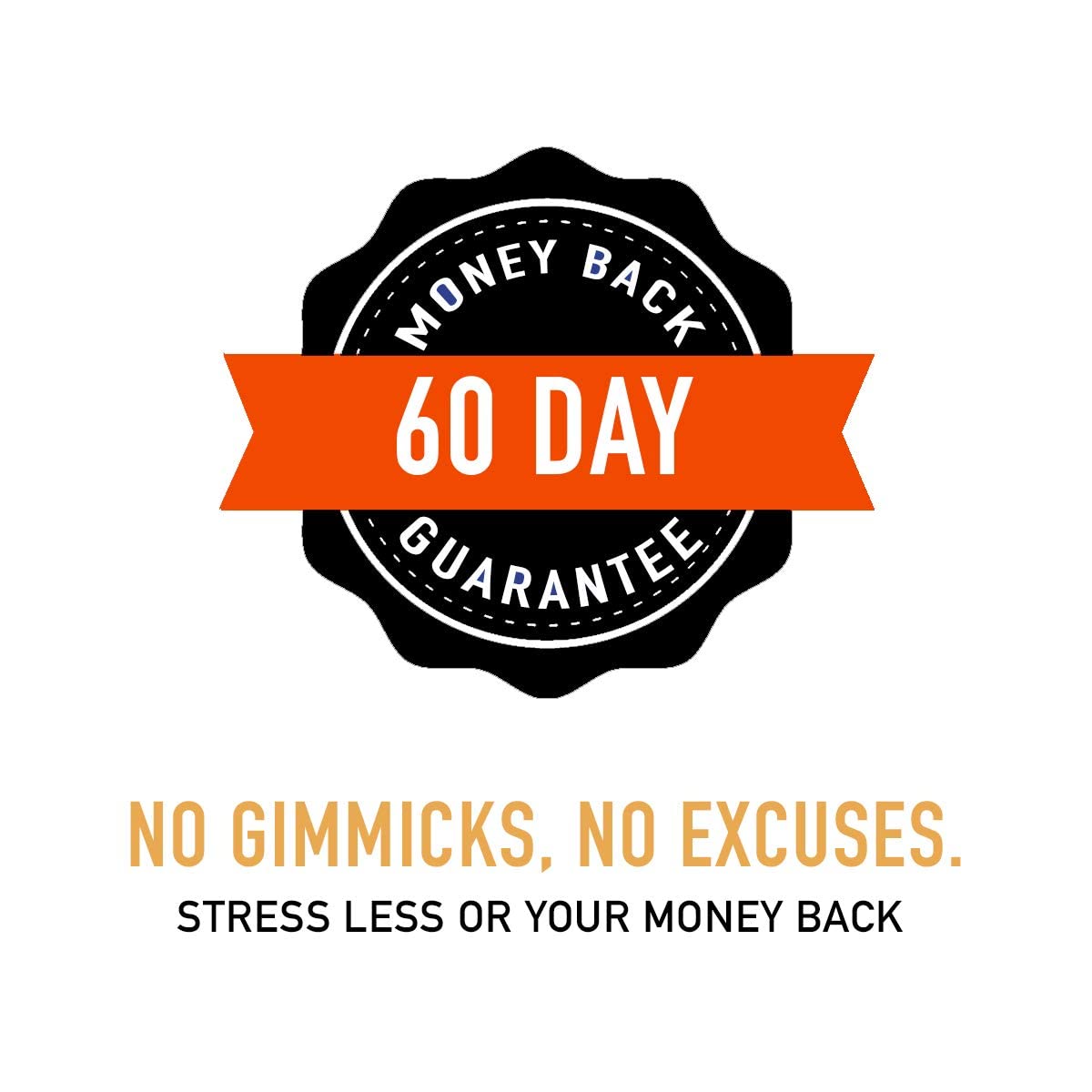 Envy Nutrition daily-wellness routine capsules, easy to incorporate.