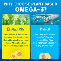EnvyCure Vegan Omega-3 Gummies pack emphasizes eco-friendly packaging.