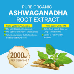 Serving plate with EnvyDeal Ashwagandha Gummies for easy daily intake.
