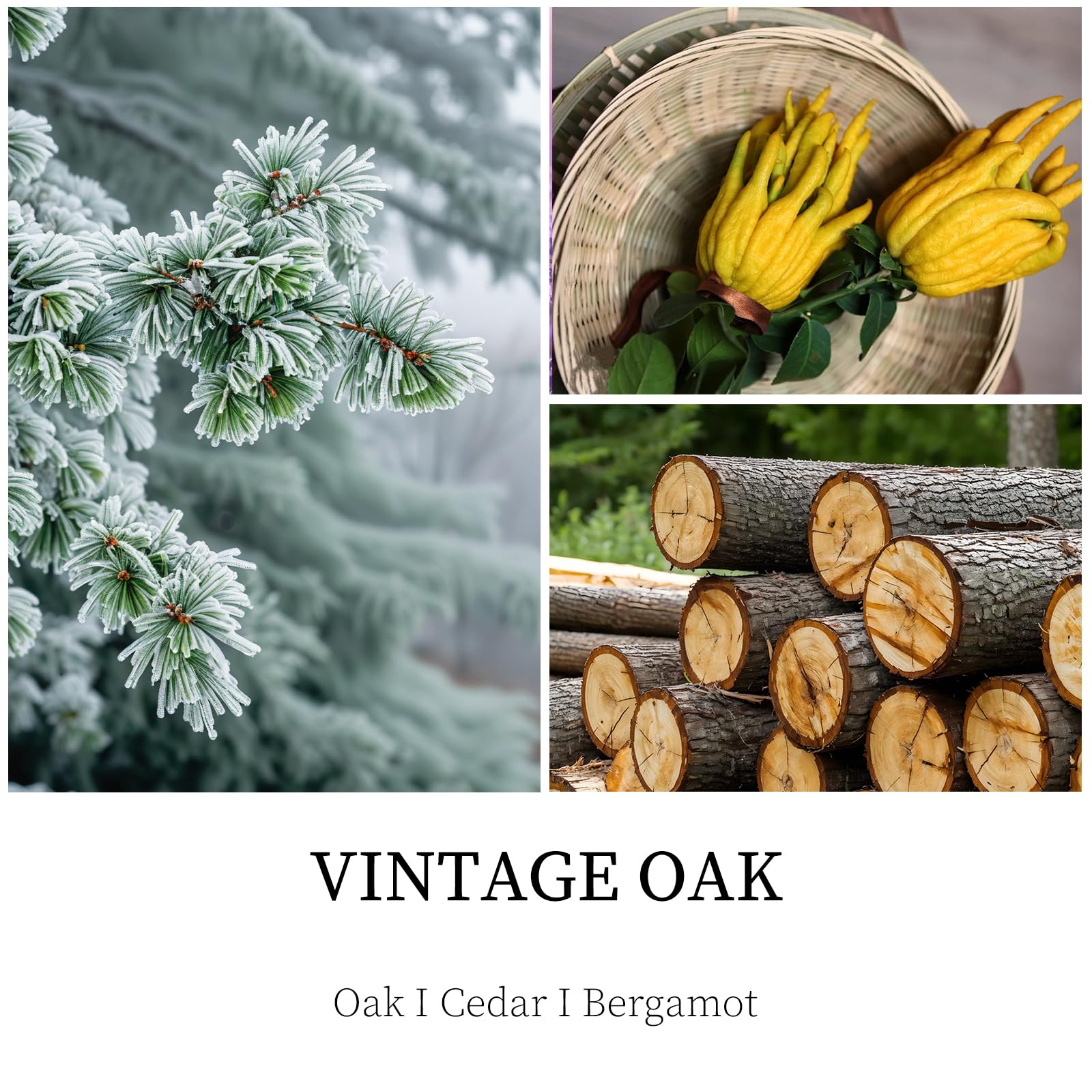 Cedar and bergamot notes create a masculine scent for study rooms.