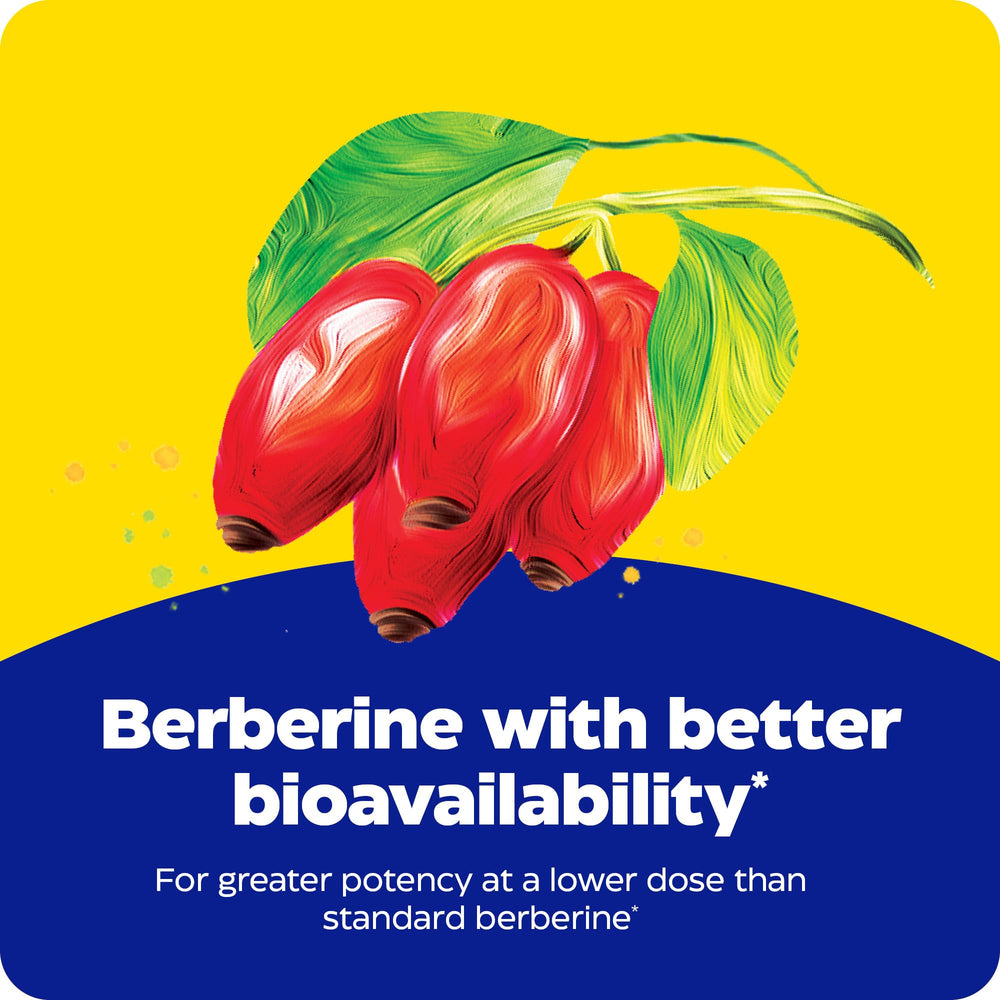 Enzymedica Berberine Phytosome capsules arranged on white background for daily vegan support.